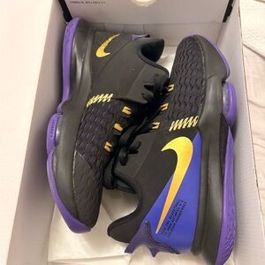 Nike Lebron basketball shoes